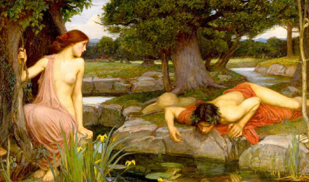 Narcisismo. Terapia en Santiago de Compostela